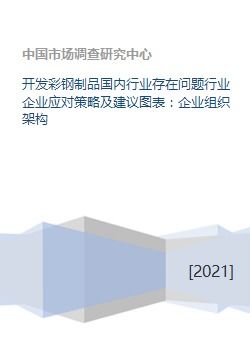 开发彩钢制品国内行业存在问题行业企业应对策略及建议图表 企业组织架构